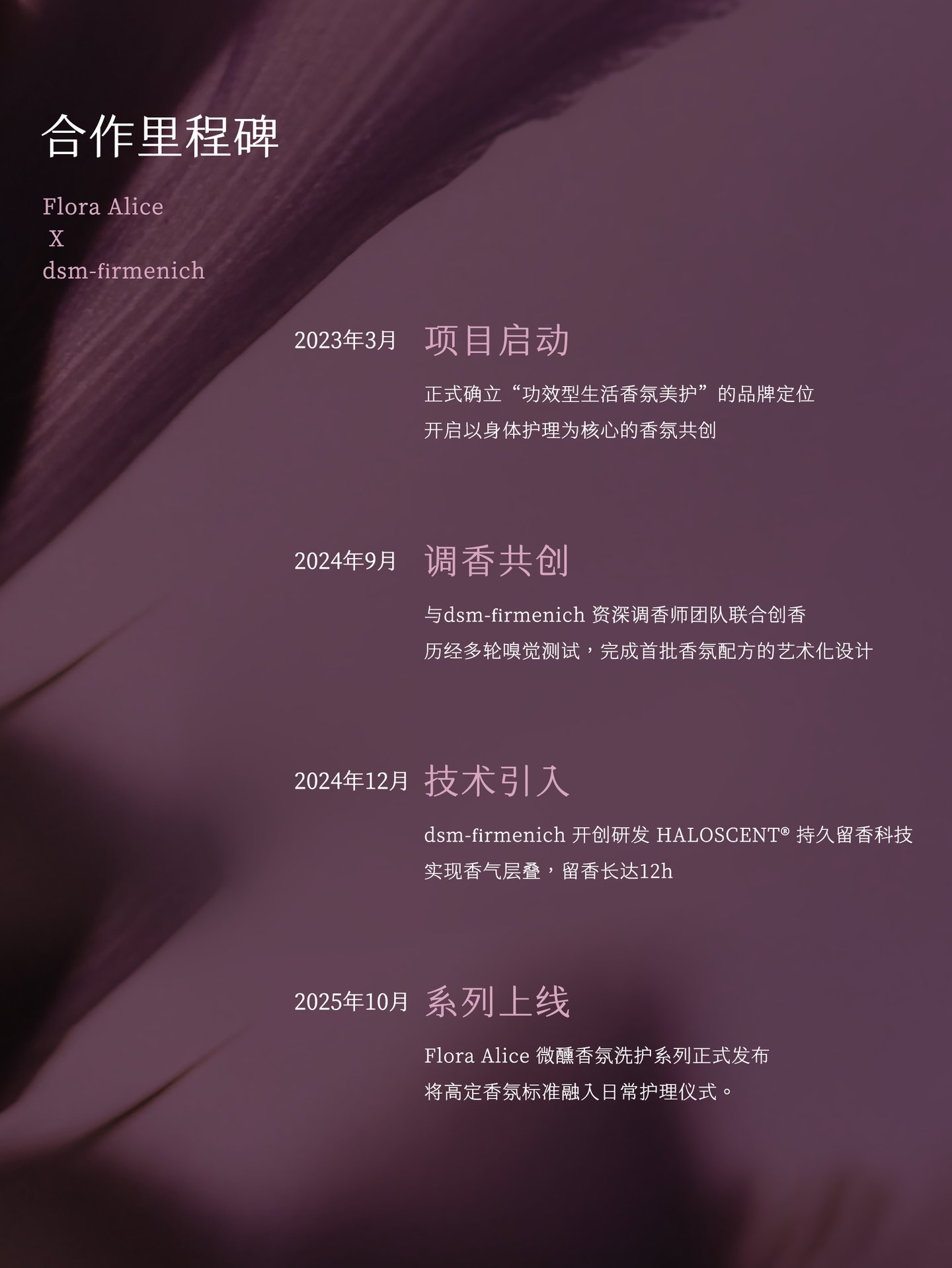 合作里程碑：2023年3月项目启动、2024年9月调香共创、2024年12月技术引入、2025年10月系列上线