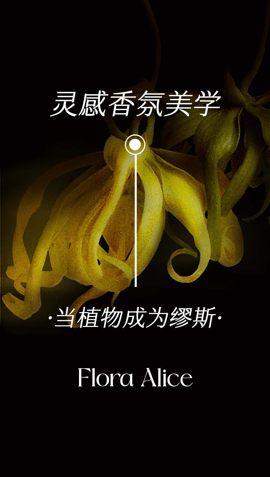 Flora Alice 当植物成为缪斯