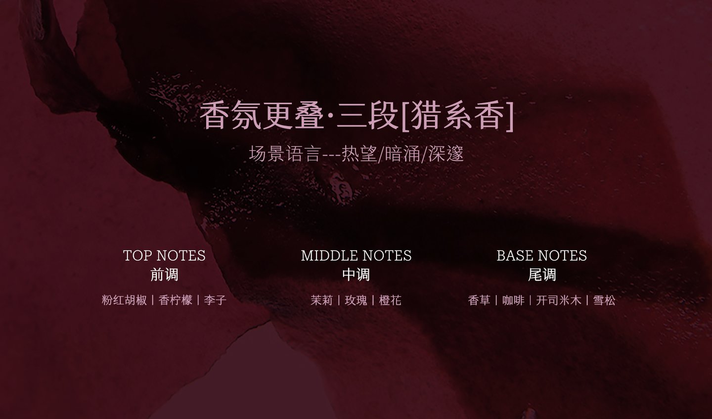香氛更叠·三段[猎系香]：前调 粉红胡椒/香柠檬/李子，中调 茉莉/玫瑰/橙花，尾调 香草/咖啡/开司米木/雪松