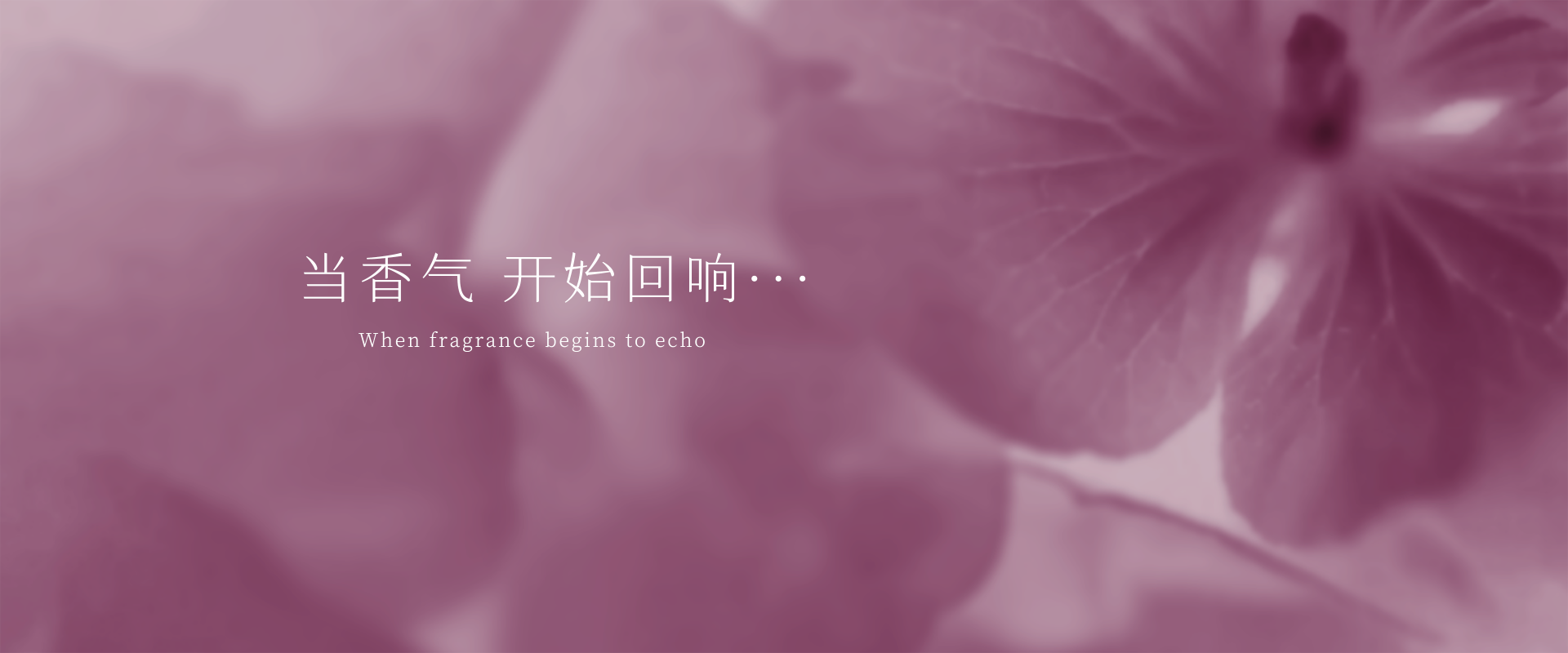 当香气 开始回响 When fragrance begins to echo