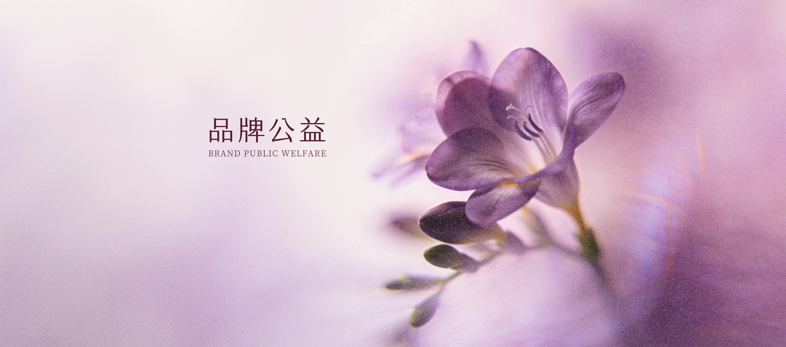 品牌公益 Brand Public Welfare
